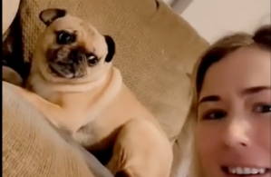 dog looking at woman who is looking at the camera